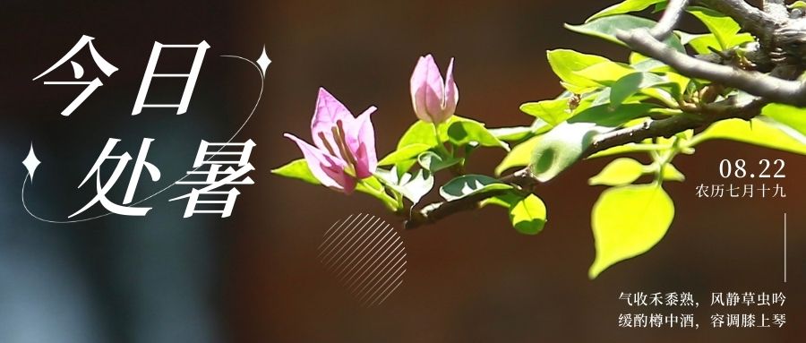 微信圖片_20240822142047